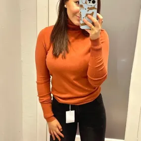 Chic Position Turtleneck Fitted Sweater Top